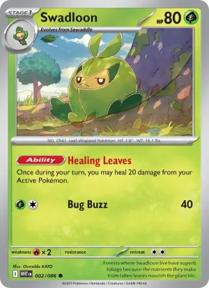 Swadloon
