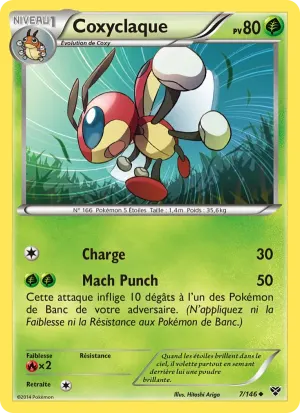 Coxyclaque