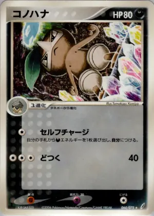 ヌズリーフ