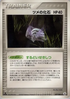 爪の化石
