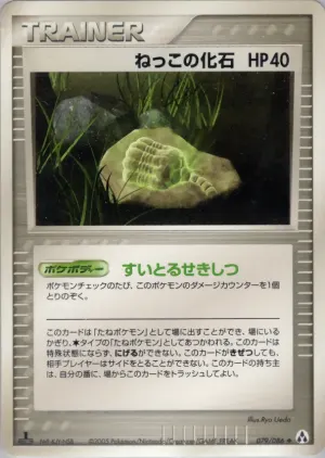 根の化石