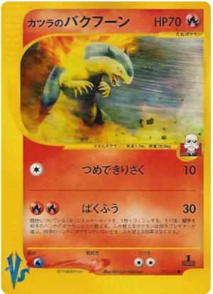 ブレインの染色