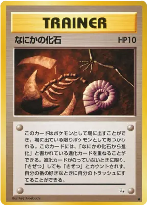 神秘的な化石