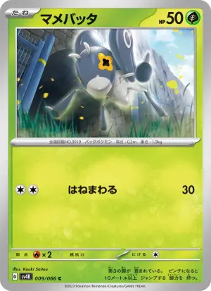 マメバッタ