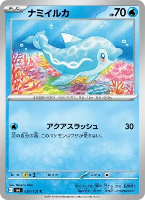 ナミイルカ