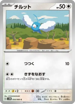 チルット