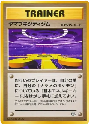 サフランシティジム